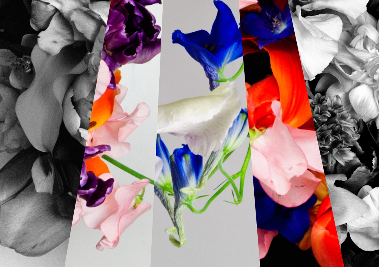 Nadine Goepfert Michael Sontag ( Missing Images and texts )